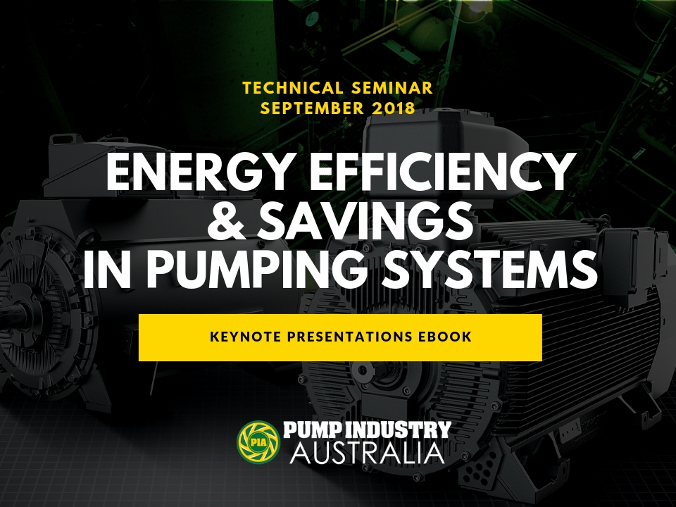 Pump Life Cycle Costs Australian Pump Industry Association