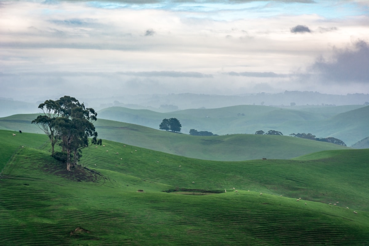 South Gippsland Water is installing a new booster pump at the Dumbalk Water Treatment Plant later this month.
